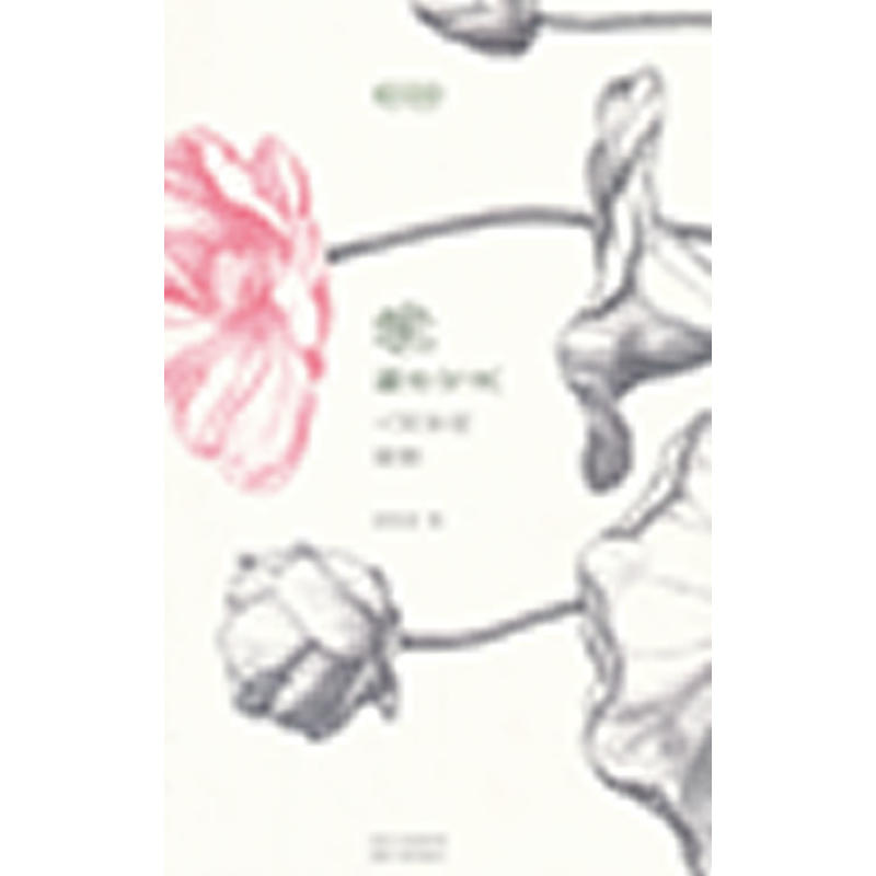 �����|�ֿɼ������g���ĸ�ɮ