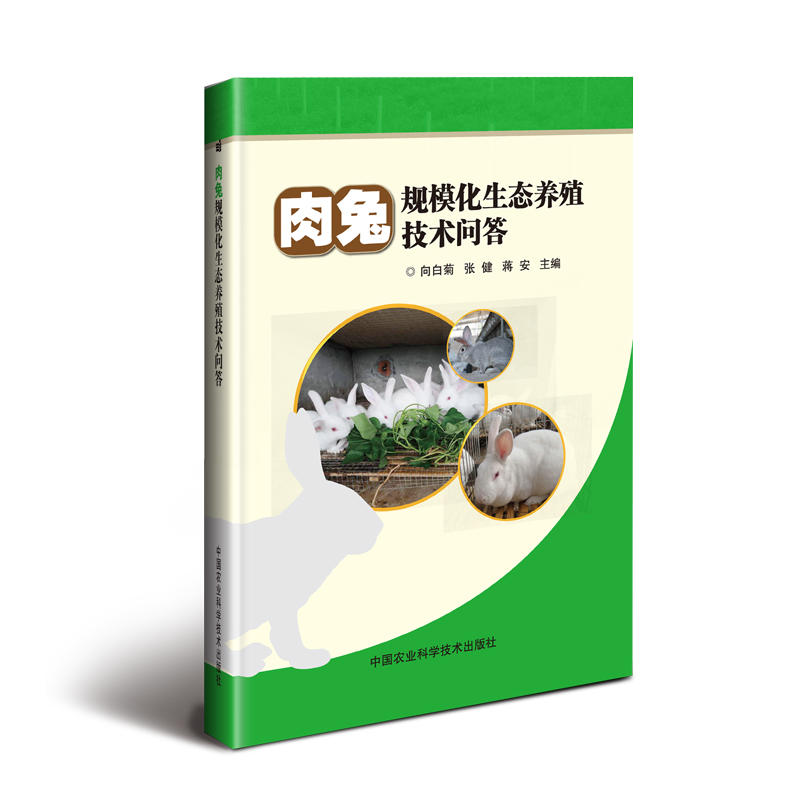 ����Ҏ(gu��)�������B(t��i)�B(y��ng)ֳ���g(sh��)��(w��n)��