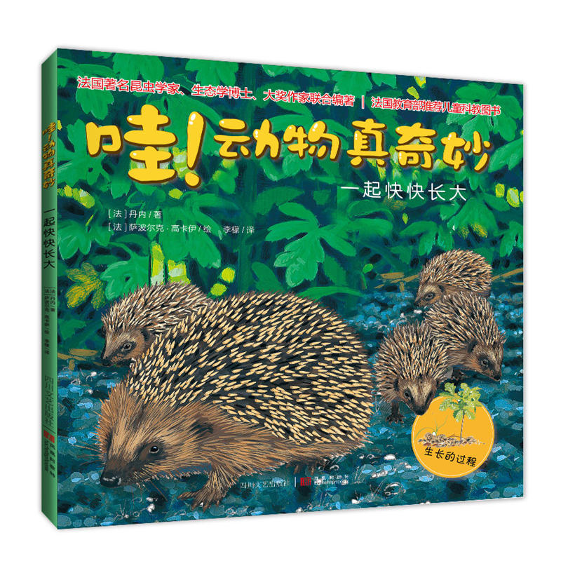 �ۣ�����������:һ�����L��