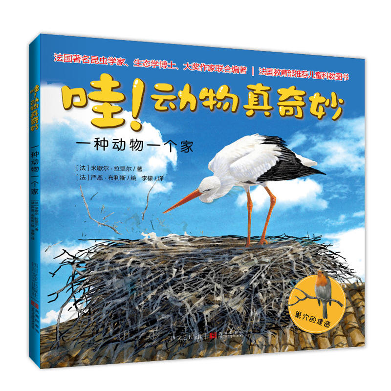 ��������������:һ�N����һ����