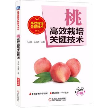  �Ҹ�Ч�����P(gu��n)�I���g(sh��)