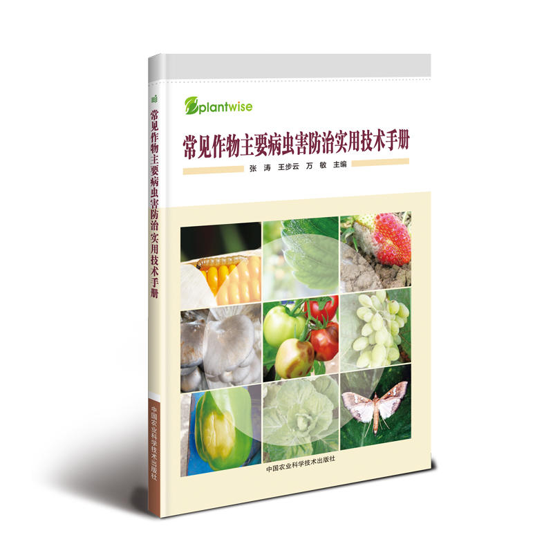 ��Ҋ������Ҫ���x�����Ό��ü��g�փ�