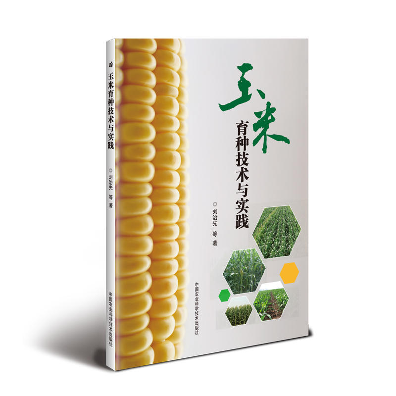 �������N���g(sh��)�c��(sh��)�`