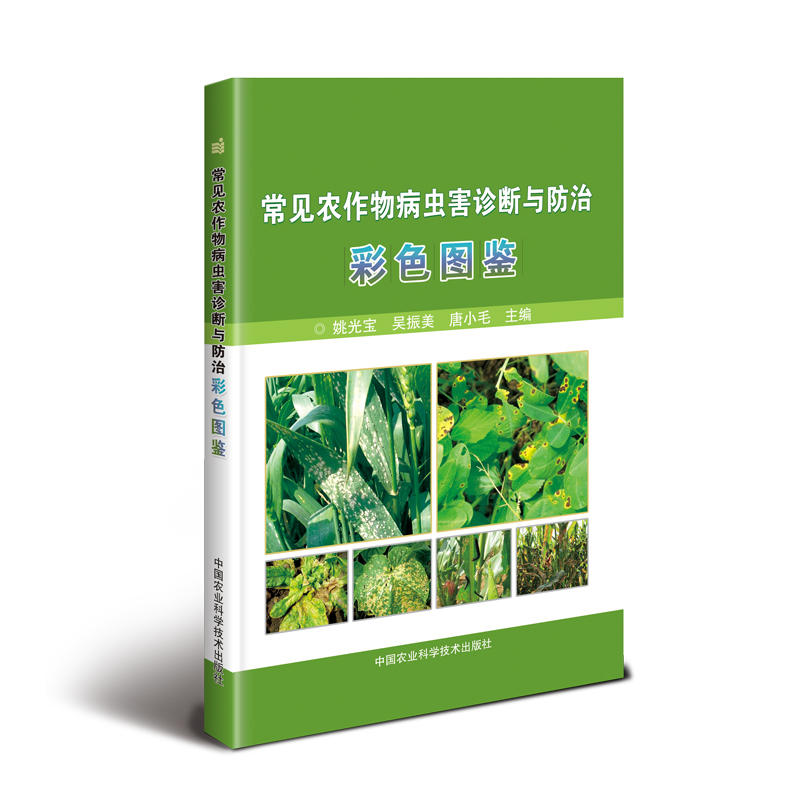 ��Ҋ(ji��n)�r(n��ng)���ﲡ�x(ch��ng)���\���c���β�ɫ�D�b