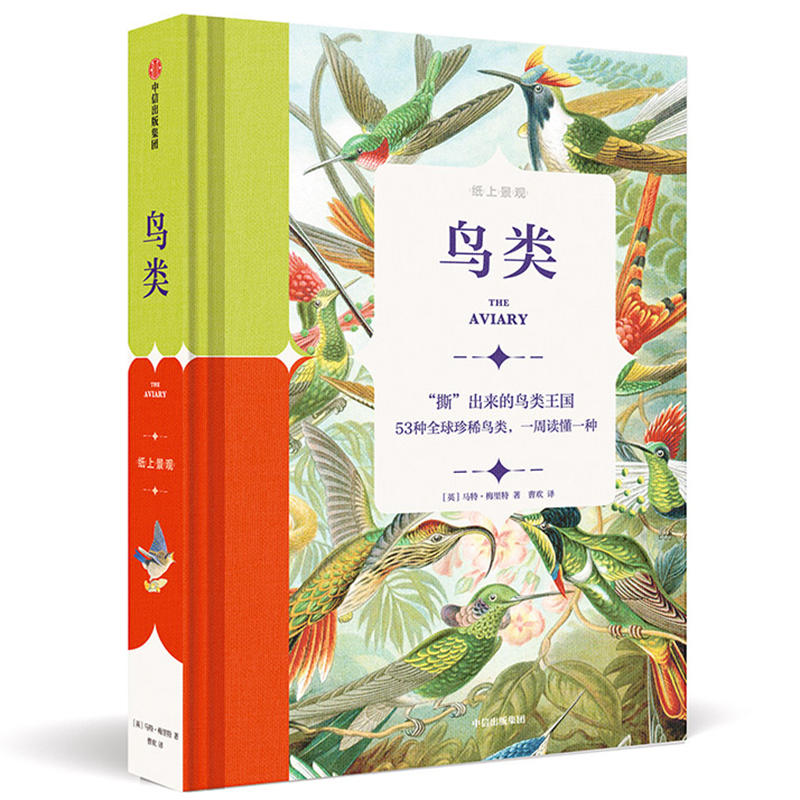 ���Ͼ��^(gu��n)���B(ni��o)�(l��i)