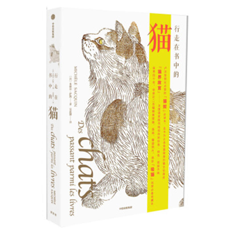 �����ڕ��е�؈