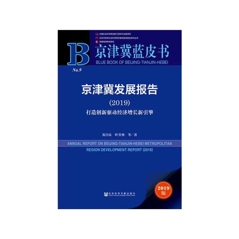 �����{(l��n)Ƥ�������򼽰l(f��)չ��棨2019��