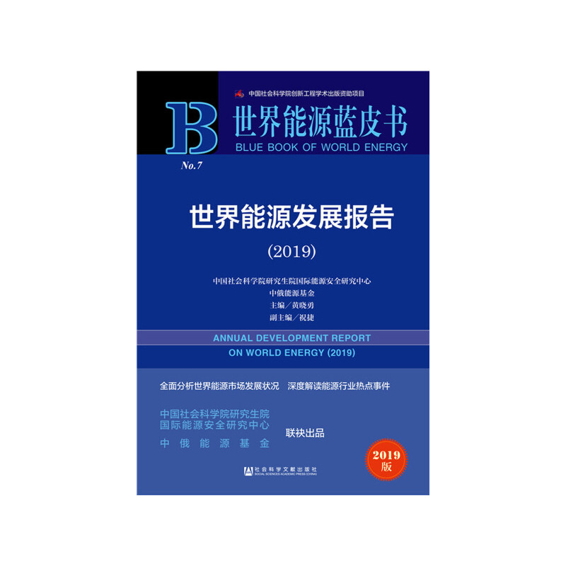 ������Դ�{(l��n)Ƥ��(sh��):������Դ�l(f��)չ��(b��o)�棨2019��