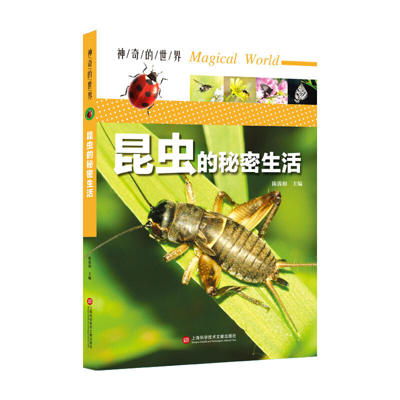 ��������硪�����x���������ȫ�ʈD��棩