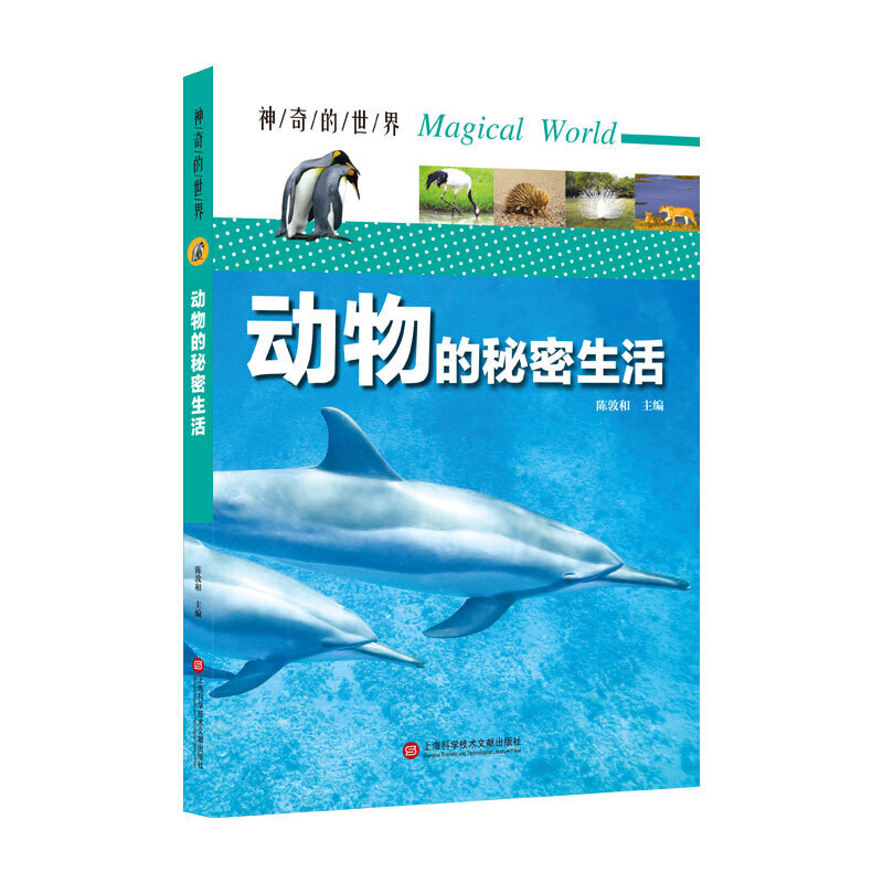 ��������硪��?ji��ng)�����������ȫ�ʈD��棩