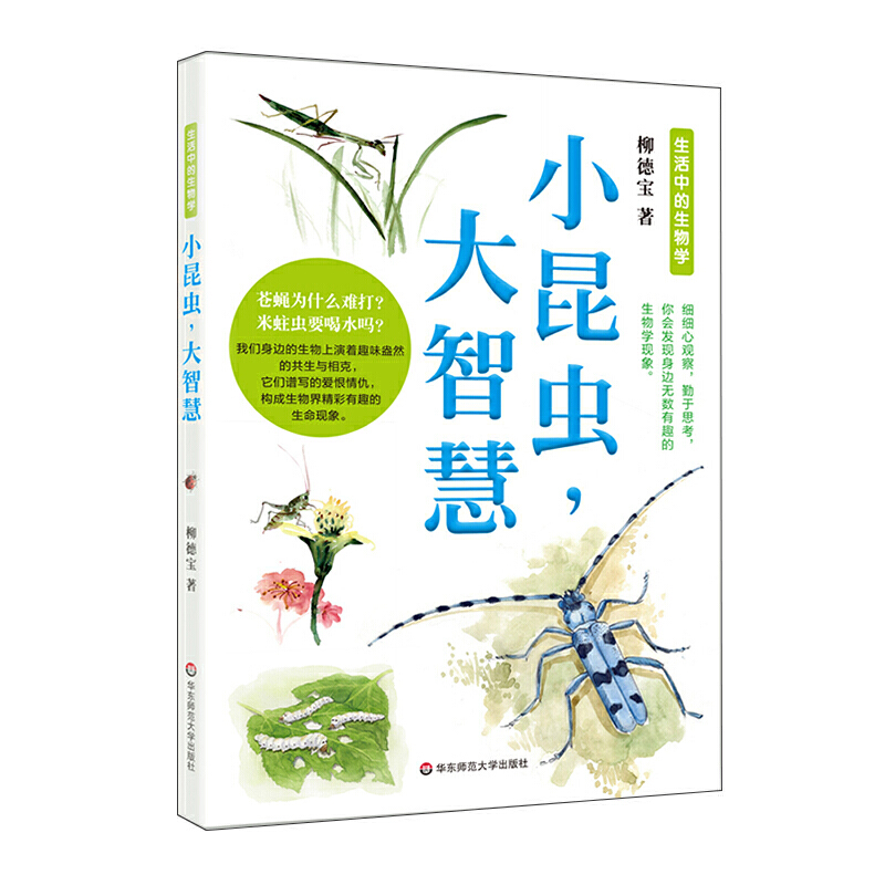 С���x�����ǻ�