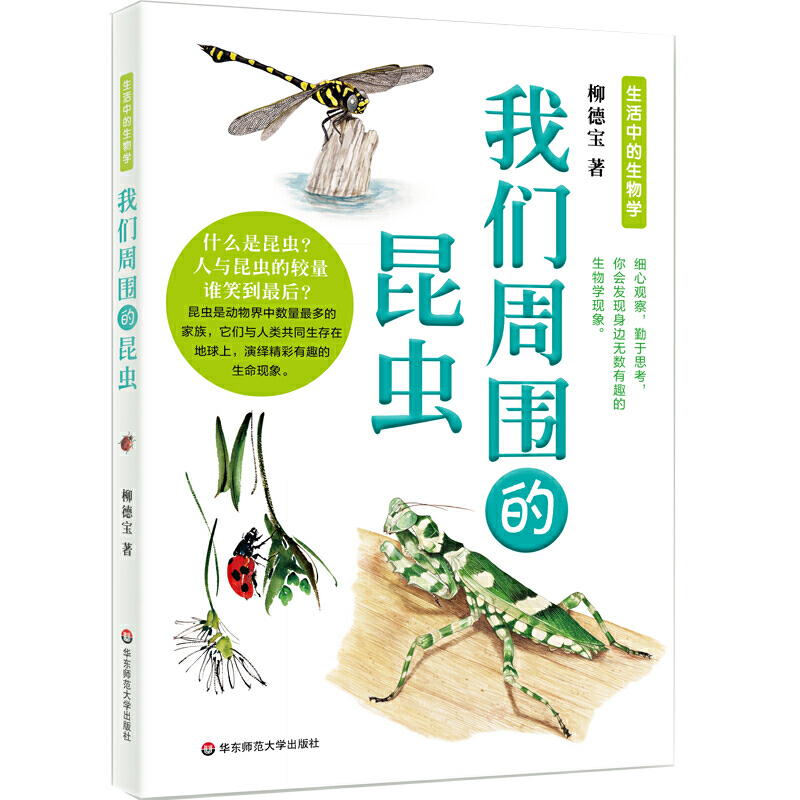 �҂��܇������x