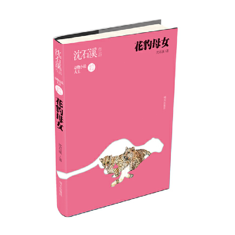 ��ʯϪ��Ʒ��������ĸŮ