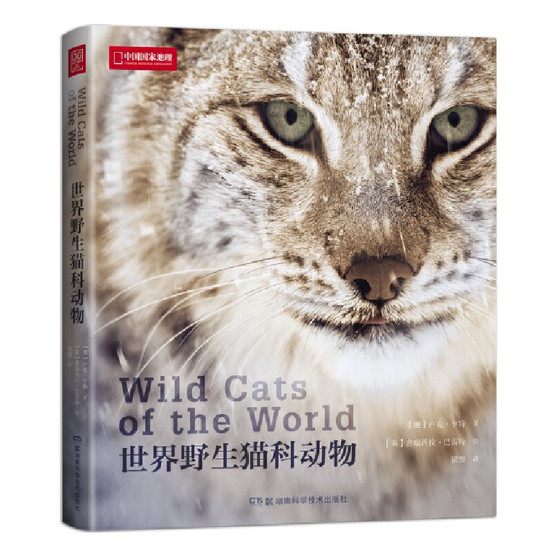 ����Ұ��؈�Ƅ�(d��ng)��