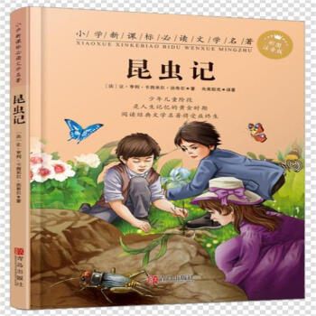 ���xӛ���ʈDע���棩/С�W(xu��)���n��(bi��o)���x�ČW(xu��)��������2݋��