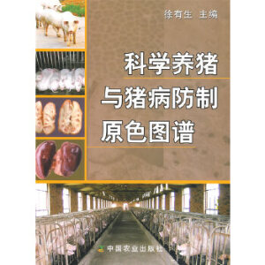 �ƌW(xu��)�B(y��ng)�i�c�i������ԭɫ�D�V