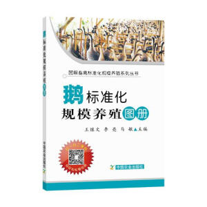 �Z�˜ʻ�Ҏ(gu��)ģ�B(y��ng)ֳ�D�ԣ�ƽ�b�棩