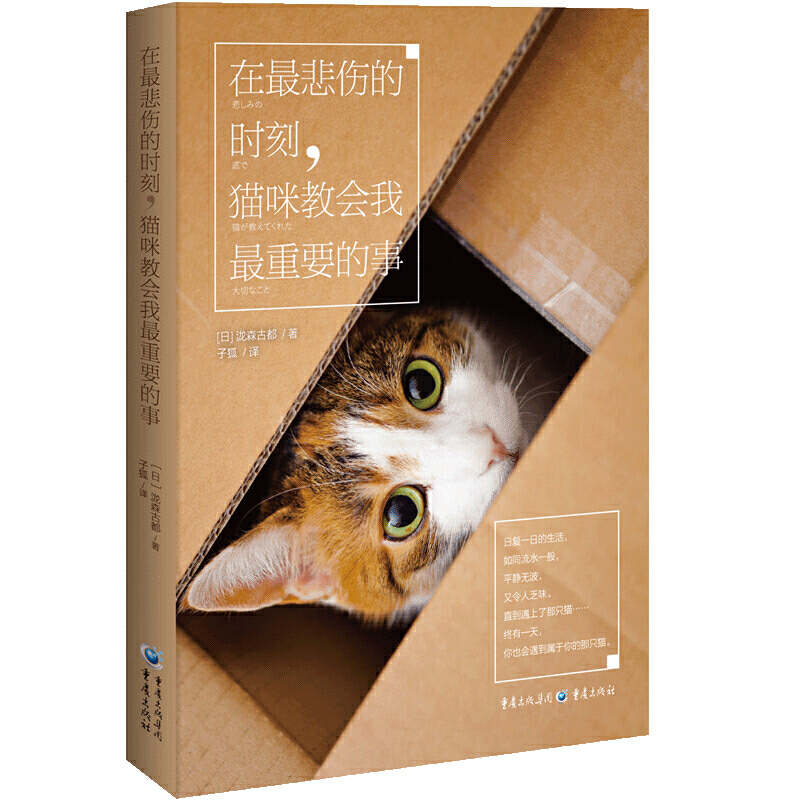 ������ĕr(sh��)����؈��̕�(hu��)������Ҫ����