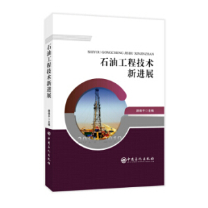 ʯ�͹��̼��g(sh��)���Mչ 2014-2019