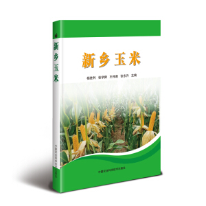 ���l(xi��ng)����