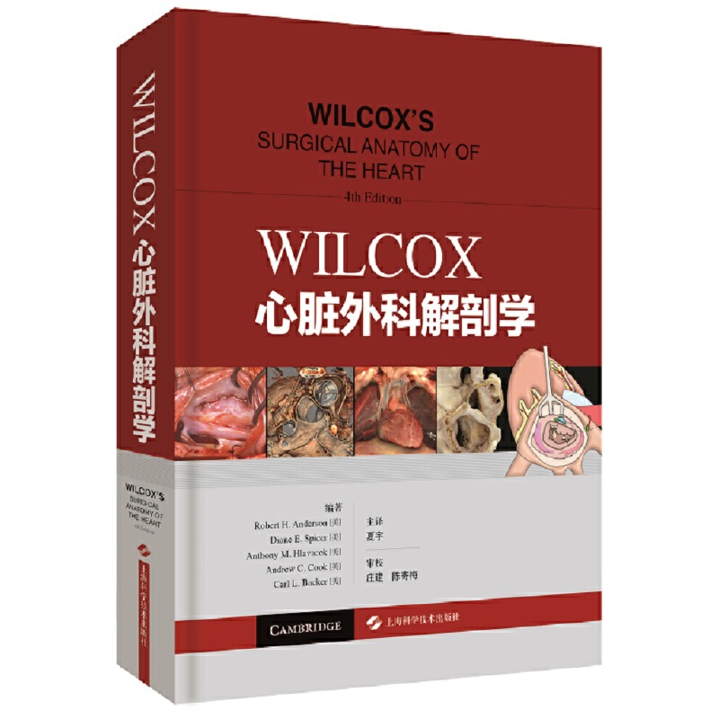 WILCOX���K��ƽ��ʌW