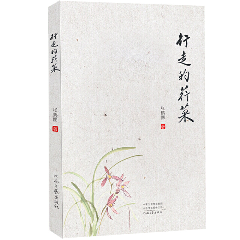 ���ߵ�����