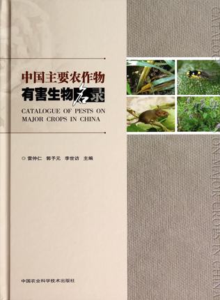 �Ї�(gu��)��Ҫ�r(n��ng)�����к��������