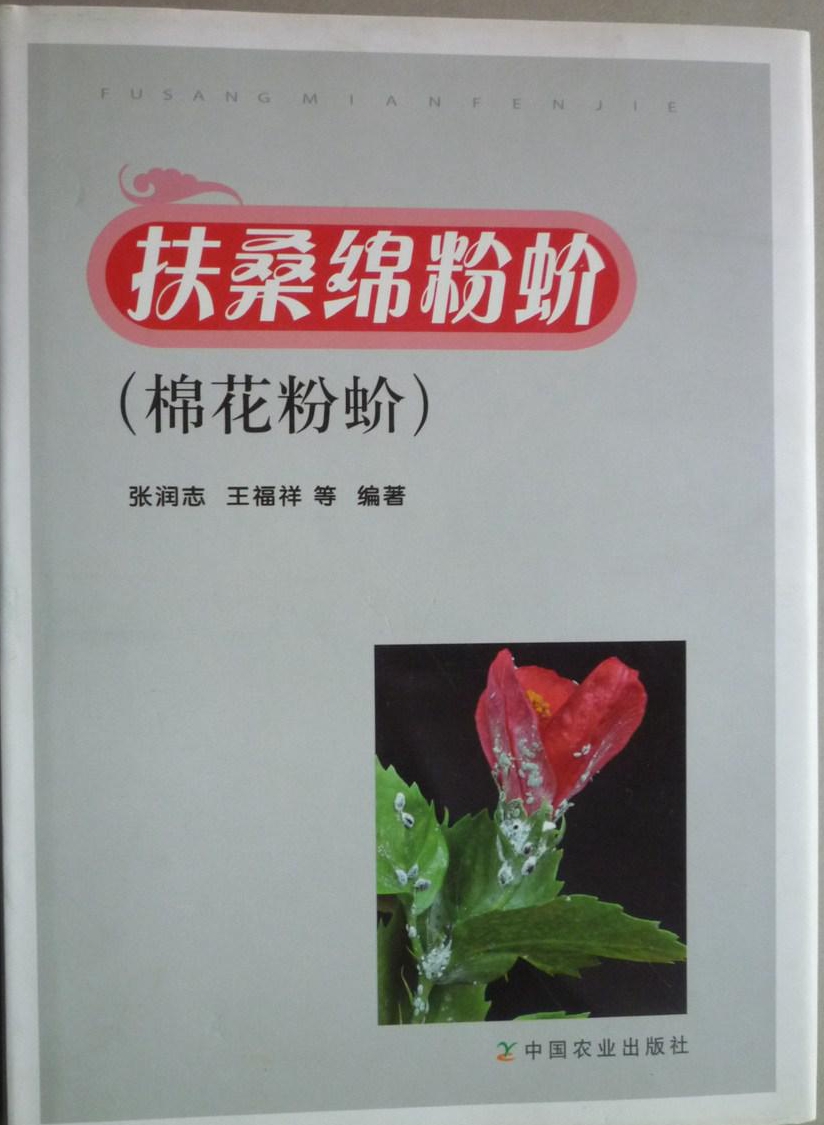 ��ɣ�d���