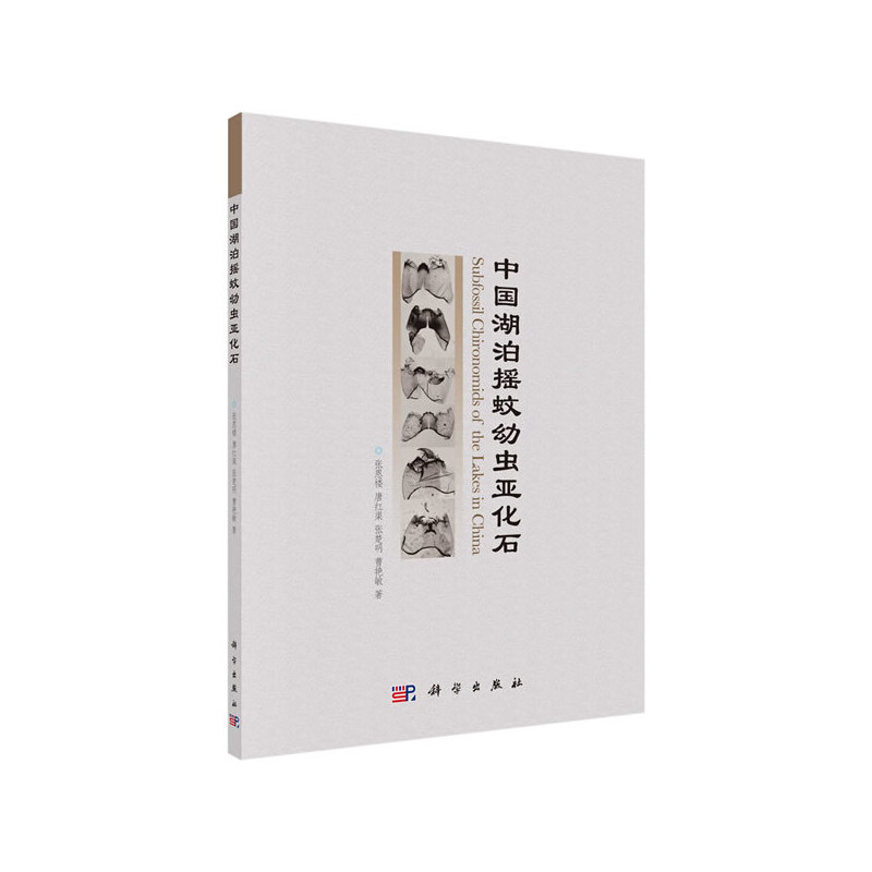 �Ї������u�����x����ʯ