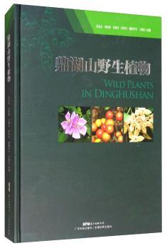 ����ɽҰ��ֲ��