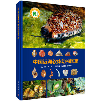 �Ї�����ܛ�w��(d��ng)��D־