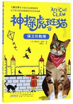 ��̽����؈.