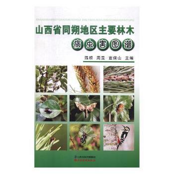 ɽ��ʡͬ˷�؅^(q��)��Ҫ��ľ���x���D�V