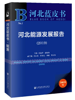 �ӱ���Դ�l(f��)չ���.2019