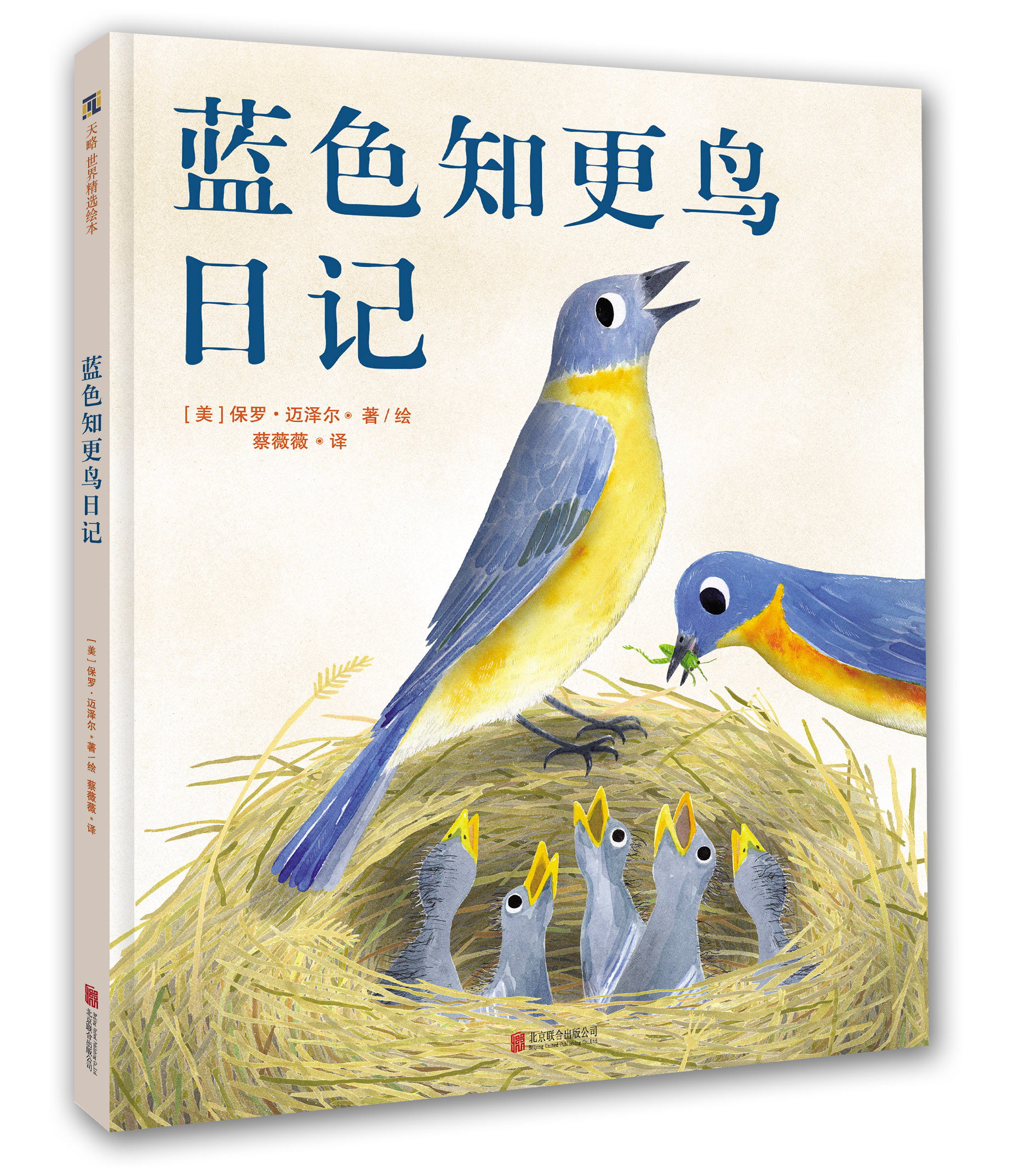 �{(l��n)ɫ֪���B��ӛ