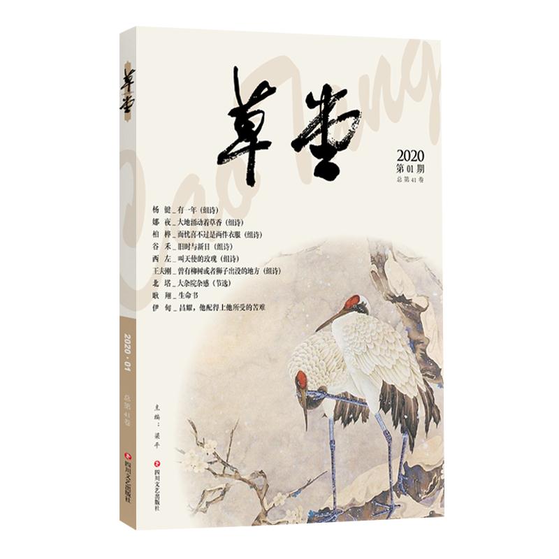 ����/��41��