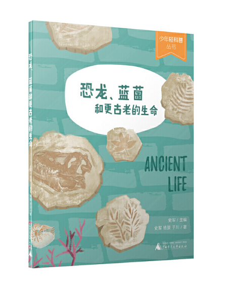 �������{(l��n)���͸����ϵ�����