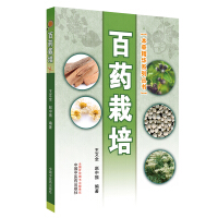 ��ˎ����