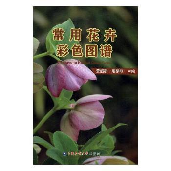 ���û��ܲ�ɫ�D�V