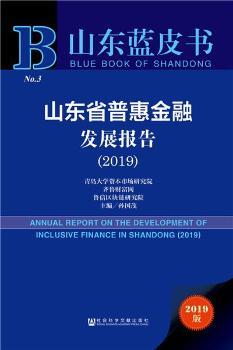 山東省普惠金融發(fā)展報告