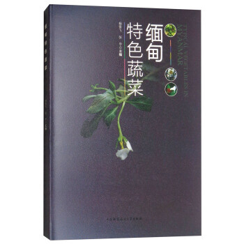 ������ɫ�߲�