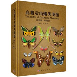 ����ؕɽ��D�b