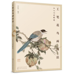 ���P���B(ni��o)��(hu��)���������T(m��n)����ͨ