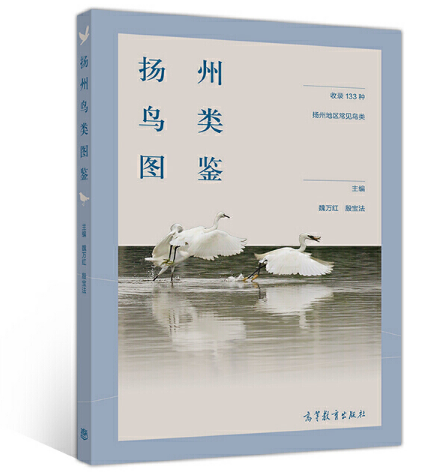 �P(y��ng)���BD�b