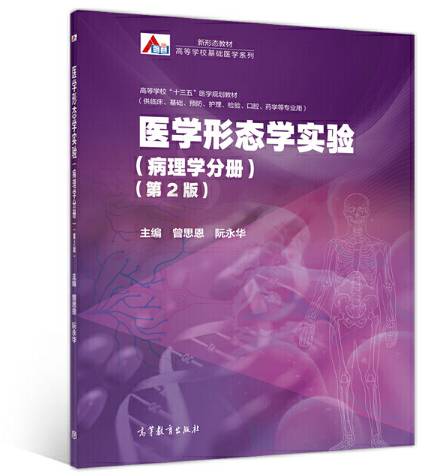 �t(y��)�W(xu��)�ΑB(t��i)�W(xu��)��(sh��)�(y��n)������W(xu��)�փ�(c��)������2�棩