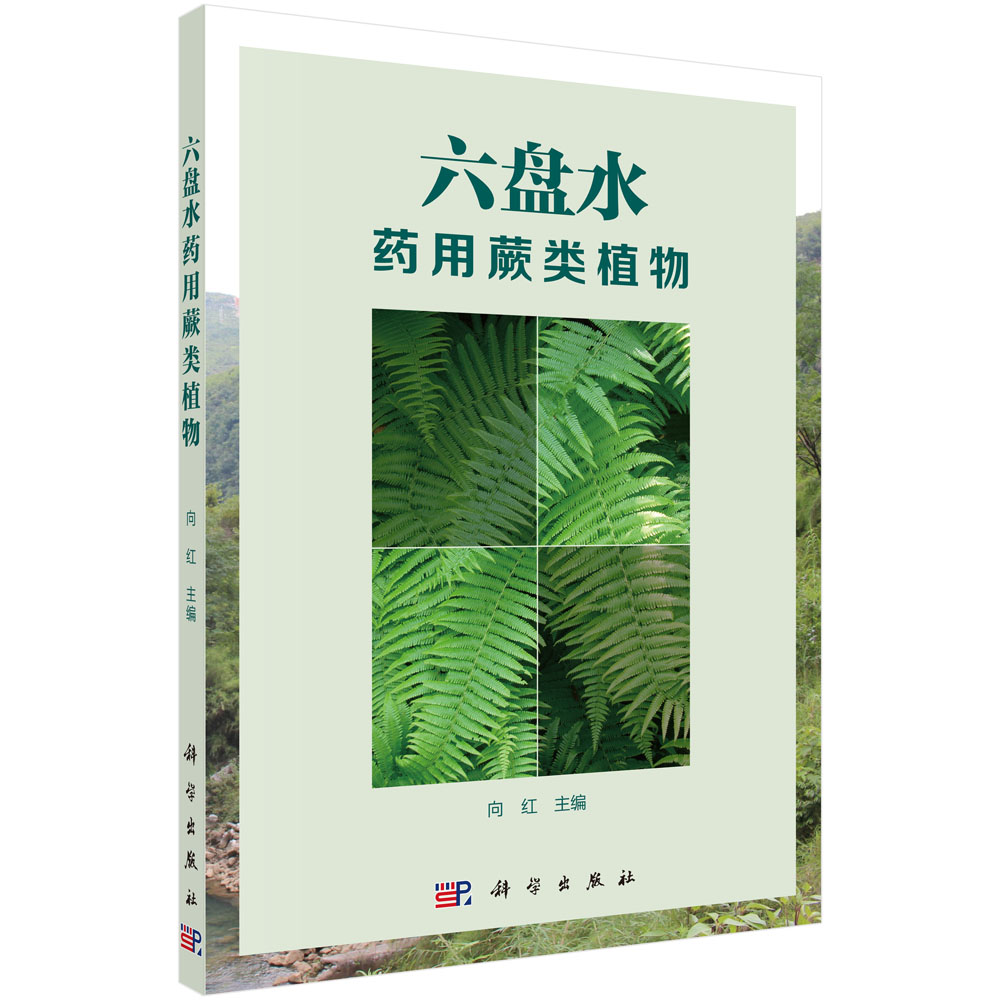 ���Pˮˎ��ާ�ֲ��