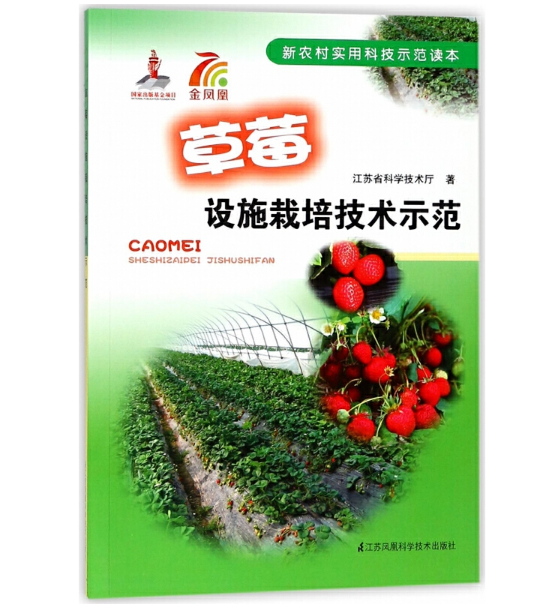 ��ݮ�O(sh��)ʩ���༼�g(sh��)ʾ��