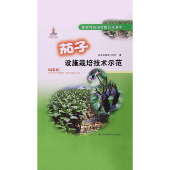 �����O(sh��)ʩ���༼�g(sh��)ʾ��