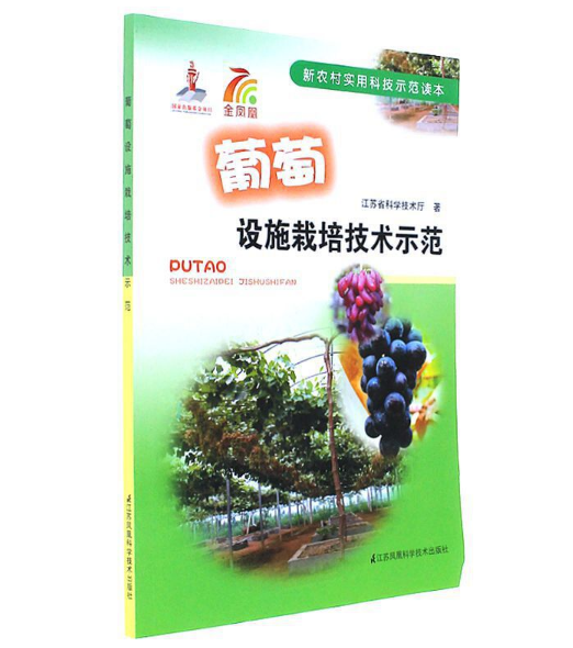 �����O(sh��)ʩ���༼�g(sh��)ʾ��