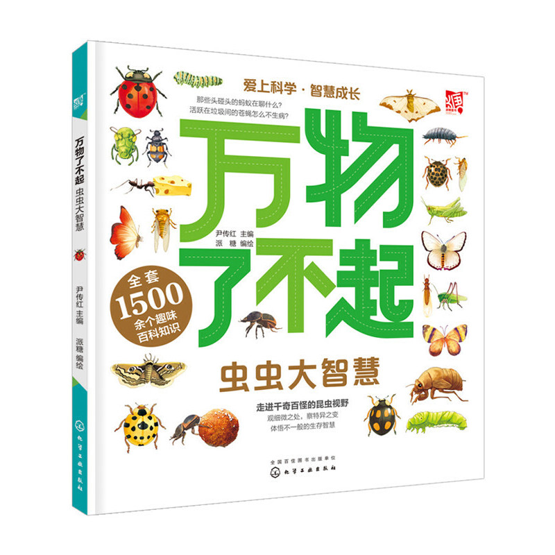 �f���˲����x�x���ǻ�